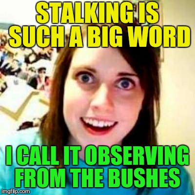 STALKING IS SUCH A BIG WORD I CALL IT OBSERVING FROM THE BUSHES | made w/ Imgflip meme maker