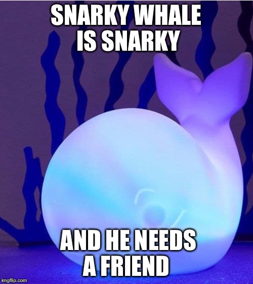 Snarky Whale | SNARKY WHALE IS SNARKY; AND HE NEEDS A FRIEND | image tagged in snarky whale | made w/ Imgflip meme maker
