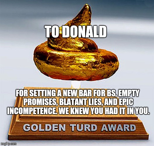 Turd award |  TO DONALD; FOR SETTING A NEW BAR FOR BS, EMPTY PROMISES, BLATANT LIES, AND EPIC INCOMPETENCE. WE KNEW YOU HAD IT IN YOU. | image tagged in trump,gold,turd | made w/ Imgflip meme maker