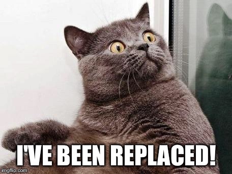 surprised cat | I'VE BEEN REPLACED! | image tagged in surprised cat | made w/ Imgflip meme maker