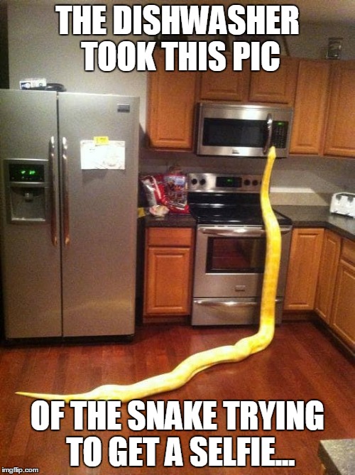 THE DISHWASHER TOOK THIS PIC; OF THE SNAKE TRYING TO GET A SELFIE... | image tagged in microwavebug | made w/ Imgflip meme maker