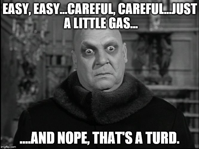 Uncle Fester | EASY, EASY...CAREFUL, CAREFUL...JUST A LITTLE GAS... ....AND NOPE, THAT'S A TURD. | image tagged in uncle fester | made w/ Imgflip meme maker