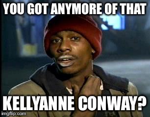 Y'all Got Any More Of That Meme | YOU GOT ANYMORE OF THAT KELLYANNE CONWAY? | image tagged in memes,yall got any more of | made w/ Imgflip meme maker