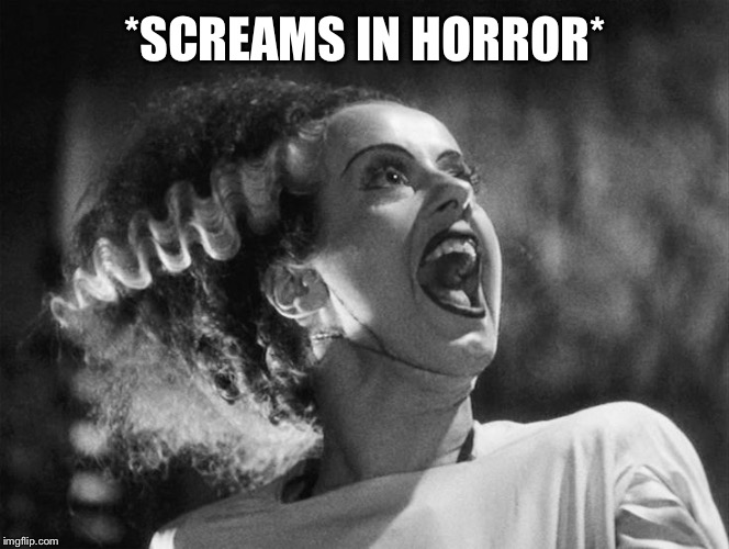 The Bride of Frankenstein | *SCREAMS IN HORROR* | image tagged in the bride of frankenstein | made w/ Imgflip meme maker