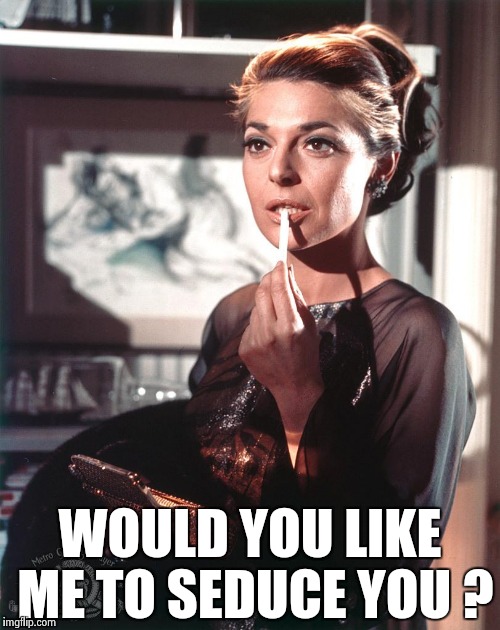 WOULD YOU LIKE ME TO SEDUCE YOU ? | image tagged in ann bancroft | made w/ Imgflip meme maker