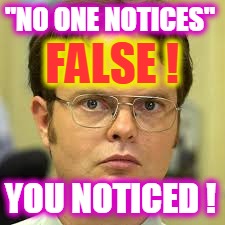 "NO ONE NOTICES" YOU NOTICED ! FALSE ! | made w/ Imgflip meme maker