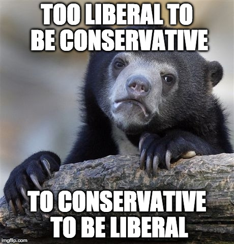 So everyone hates me :) | TOO LIBERAL TO BE CONSERVATIVE; TO CONSERVATIVE TO BE LIBERAL | image tagged in memes,confession bear,conservative,liberal,bacon,libertarian | made w/ Imgflip meme maker