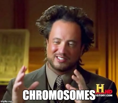 When someone attempts to roast you but can't form an intelligible scentance | CHROMOSOMES | image tagged in memes,ancient aliens,chromosomes,lost faith in humanity | made w/ Imgflip meme maker