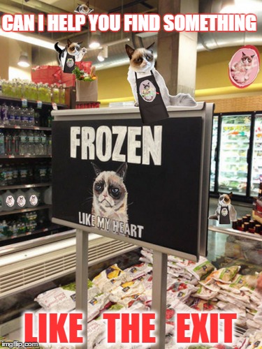 Grumpy cat invests his meme fortune in a chain of grocery stores. Jobs for the whole family,  | CAN I HELP YOU FIND SOMETHING; LIKE   THE   EXIT | image tagged in grumpy cat everywhere,grocery store,frozen food,memes,funny cat memes | made w/ Imgflip meme maker