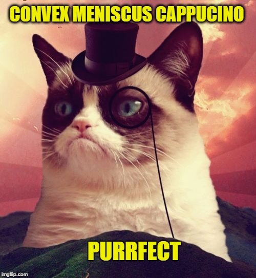 Purrfect Cappucino | CONVEX MENISCUS CAPPUCINO; PURRFECT | image tagged in memes,grumpy cat top hat,grumpy cat,meniscus,cappucino,convex | made w/ Imgflip meme maker