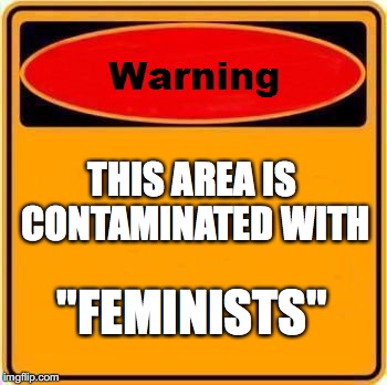Warning Sign Meme | THIS AREA IS CONTAMINATED WITH; "FEMINISTS" | image tagged in memes,warning sign | made w/ Imgflip meme maker