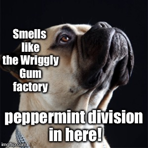 Smells like the Wriggly Gum factory peppermint division in here! | made w/ Imgflip meme maker