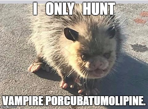 porcubatumolipine | I   ONLY   HUNT; VAMPIRE PORCUBATUMOLIPINE. | image tagged in hunting,funny animals,freaky | made w/ Imgflip meme maker