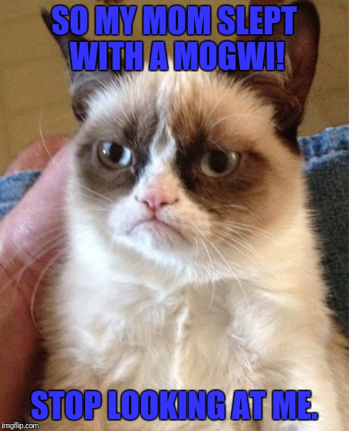 Grumpy Cat Meme | SO MY MOM SLEPT WITH A MOGWI! STOP LOOKING AT ME. | image tagged in memes,grumpy cat | made w/ Imgflip meme maker