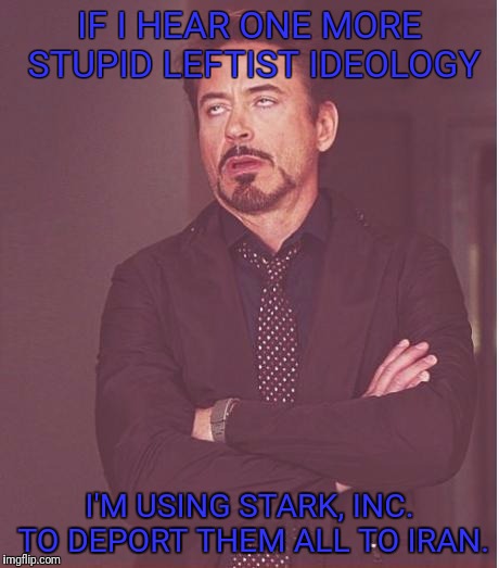 Face You Make Robert Downey Jr | IF I HEAR ONE MORE STUPID LEFTIST IDEOLOGY; I'M USING STARK, INC. TO DEPORT THEM ALL TO IRAN. | image tagged in memes,face you make robert downey jr | made w/ Imgflip meme maker