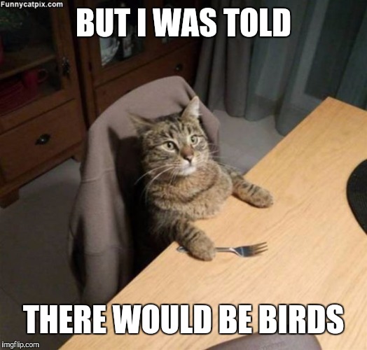 BUT I WAS TOLD THERE WOULD BE BIRDS | made w/ Imgflip meme maker