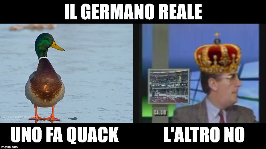 IL GERMANO REALE; UNO FA QUACK             L'ALTRO NO | image tagged in germanoreale | made w/ Imgflip meme maker