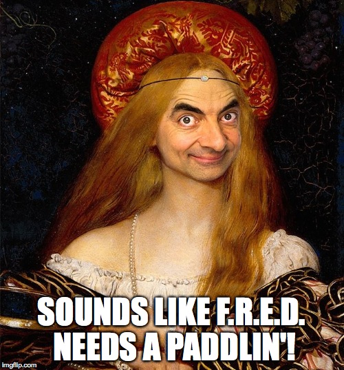 SOUNDS LIKE F.R.E.D. NEEDS A PADDLIN'! | made w/ Imgflip meme maker