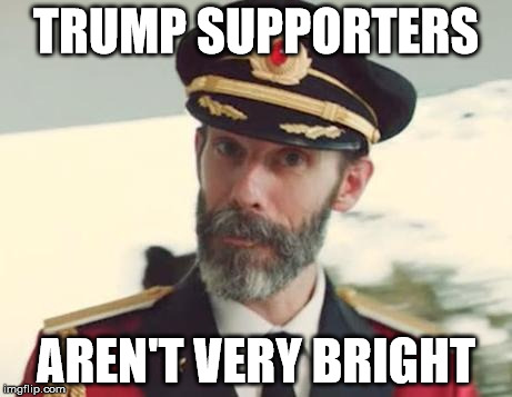 Captain Obvious | TRUMP SUPPORTERS; AREN'T VERY BRIGHT | image tagged in captain obvious | made w/ Imgflip meme maker