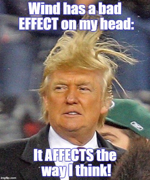 Donald Trumph hair | Wind has a bad EFFECT on my head:; It AFFECTS the way I think! | image tagged in donald trumph hair | made w/ Imgflip meme maker