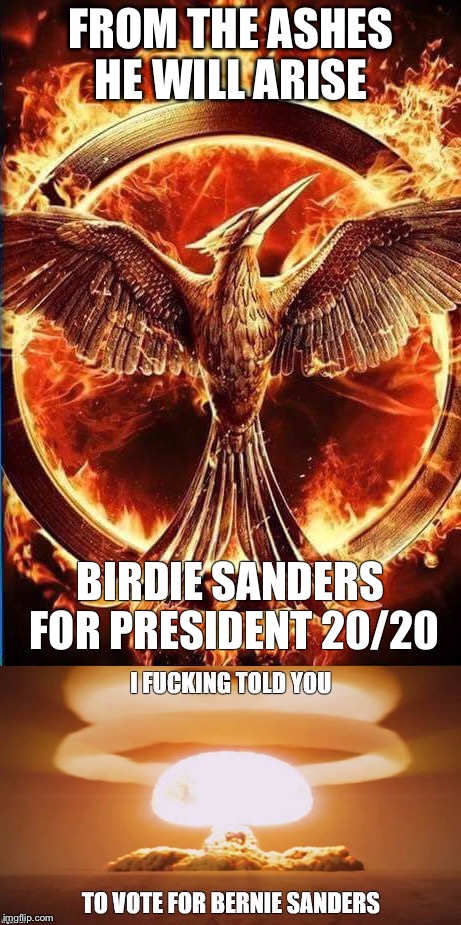 *Arise* | FROM THE ASHES HE WILL ARISE; BIRDIE SANDERS FOR PRESIDENT 20/20 | image tagged in birdie sanders,bernie sanders,president 2020,pheonix,ashes,nuclear explosion | made w/ Imgflip meme maker