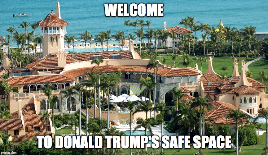 Snowflake in Chief | WELCOME; TO DONALD TRUMP'S SAFE SPACE | image tagged in donald trump,safe space,mar a lago,special snowflake | made w/ Imgflip meme maker