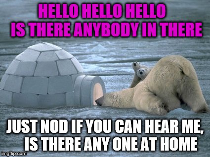 Its just another brick in the igloo | HELLO HELLO HELLO   IS THERE ANYBODY IN THERE; JUST NOD IF YOU CAN HEAR ME,    IS THERE ANY ONE AT HOME | image tagged in here's johnny,pink floyd,music lyrics | made w/ Imgflip meme maker