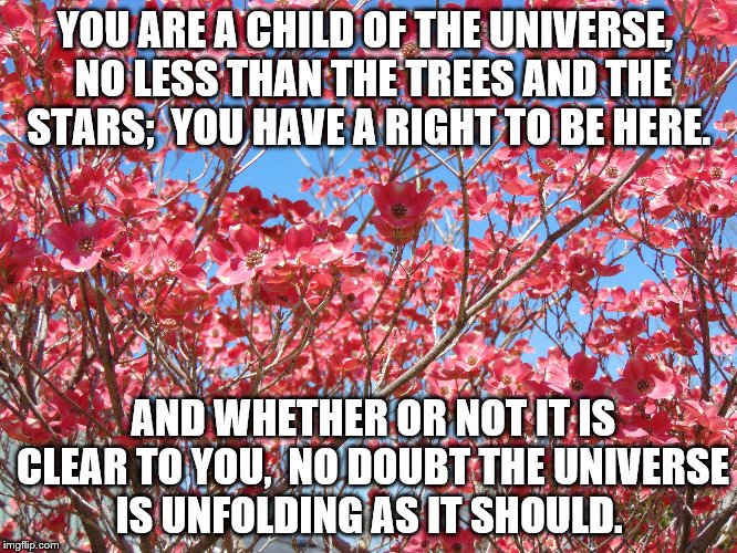 child of the universe | YOU ARE A CHILD OF THE UNIVERSE,
 NO LESS THAN THE TREES AND THE STARS;
 YOU HAVE A RIGHT TO BE HERE. AND WHETHER OR NOT IT IS CLEAR TO YOU,
 NO DOUBT THE UNIVERSE IS UNFOLDING AS IT SHOULD. | image tagged in memes | made w/ Imgflip meme maker