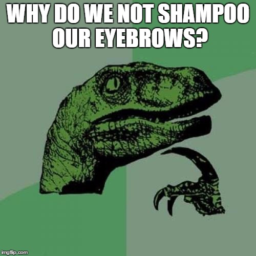 Philosoraptor | WHY DO WE NOT SHAMPOO OUR EYEBROWS? | image tagged in memes,philosoraptor | made w/ Imgflip meme maker