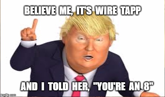 Digital Surveillence | BELIEVE  ME,  IT'S  WIRE  TAPP; AND  I  TOLD  HER,  "YOU'RE  AN  8" | image tagged in orwellian,trump | made w/ Imgflip meme maker