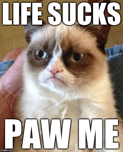 Grumpy Cat Meme | LIFE SUCKS PAW ME | image tagged in memes,grumpy cat | made w/ Imgflip meme maker