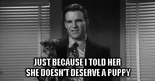 Steve and Puppy | JUST BECAUSE I TOLD HER SHE DOESN'T DESERVE A PUPPY | image tagged in steve and puppy | made w/ Imgflip meme maker
