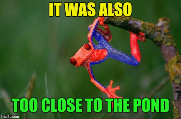 IT WAS ALSO TOO CLOSE TO THE POND | made w/ Imgflip meme maker