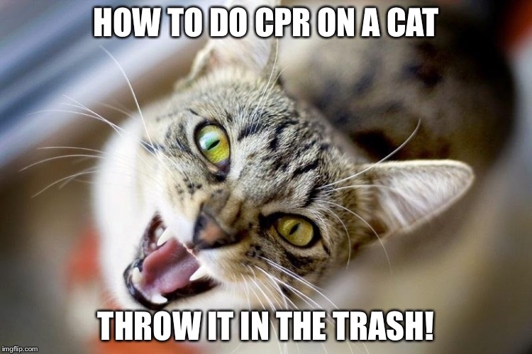 Cats suck :) | HOW TO DO CPR ON A CAT; THROW IT IN THE TRASH! | image tagged in funny cats,funny dogs,dogs,furries,furry,pets | made w/ Imgflip meme maker