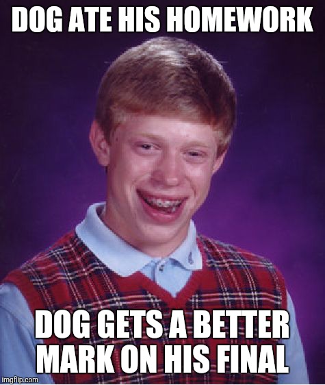 Bad Luck Brian Meme | DOG ATE HIS HOMEWORK; DOG GETS A BETTER MARK ON HIS FINAL | image tagged in memes,bad luck brian | made w/ Imgflip meme maker