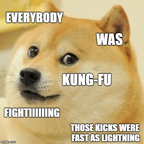 Doge Meme | EVERYBODY; WAS; KUNG-FU; FIGHTIIIIIING; THOSE KICKS WERE FAST AS LIGHTNING | image tagged in memes,doge | made w/ Imgflip meme maker