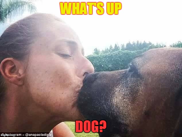 NEWLY WEDS | WHAT'S UP; DOG? | image tagged in society | made w/ Imgflip meme maker