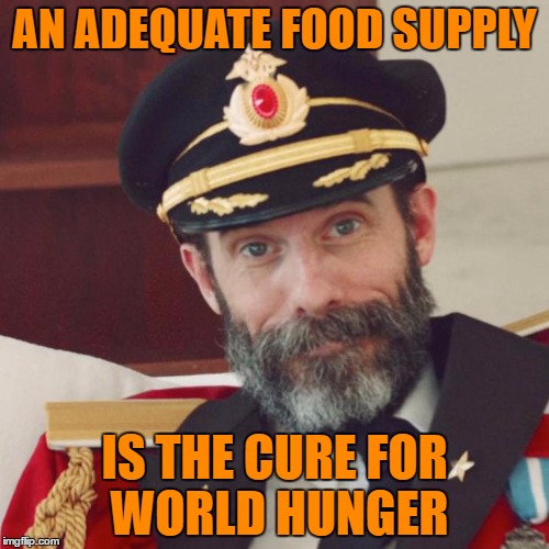 Captain Obvious | AN ADEQUATE FOOD SUPPLY; IS THE CURE FOR WORLD HUNGER | image tagged in captain obvious | made w/ Imgflip meme maker