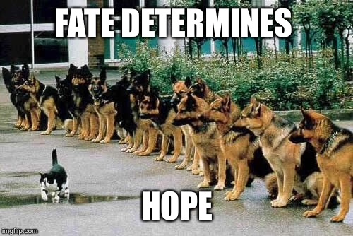FATE DETERMINES HOPE | made w/ Imgflip meme maker