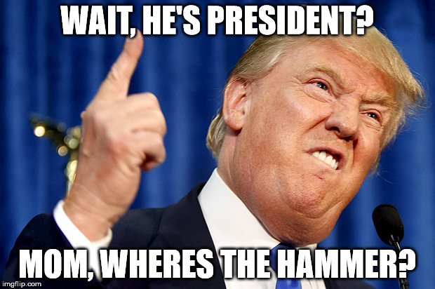 Donald Trump | WAIT, HE'S PRESIDENT? MOM, WHERES THE HAMMER? | image tagged in donald trump | made w/ Imgflip meme maker