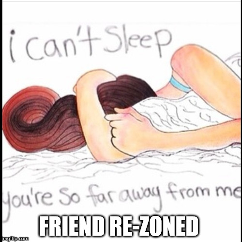 FRIEND RE-ZONED | image tagged in friend zone | made w/ Imgflip meme maker