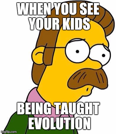 Ned Flanders | WHEN YOU SEE YOUR KIDS; BEING TAUGHT EVOLUTION | image tagged in ned flanders | made w/ Imgflip meme maker