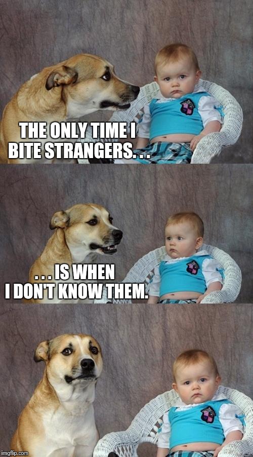 Strange strangers | THE ONLY TIME I BITE STRANGERS. . . . . . IS WHEN I DON'T KNOW THEM. | image tagged in memes,dad joke dog | made w/ Imgflip meme maker