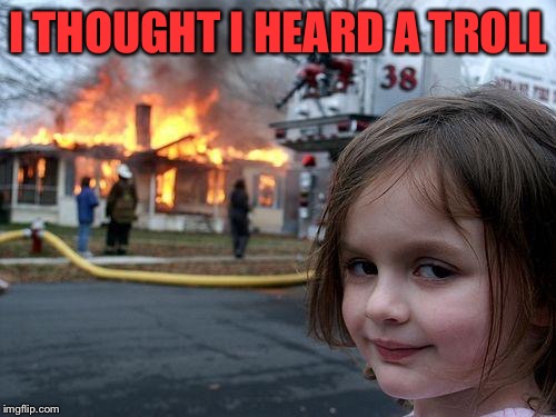 Disaster Girl Meme | I THOUGHT I HEARD A TROLL | image tagged in memes,disaster girl | made w/ Imgflip meme maker