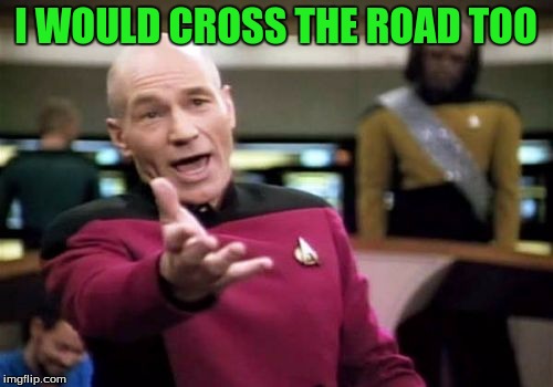 Picard Wtf Meme | I WOULD CROSS THE ROAD TOO | image tagged in memes,picard wtf | made w/ Imgflip meme maker