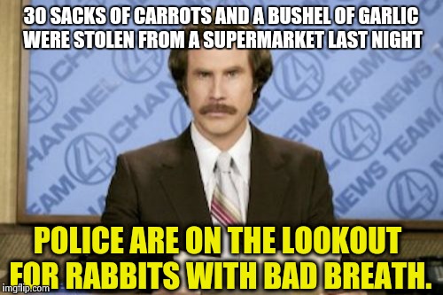 CRIME ALERT ! | 30 SACKS OF CARROTS AND A BUSHEL OF GARLIC WERE STOLEN FROM A SUPERMARKET LAST NIGHT; POLICE ARE ON THE LOOKOUT FOR RABBITS WITH BAD BREATH. | image tagged in memes,ron burgundy | made w/ Imgflip meme maker