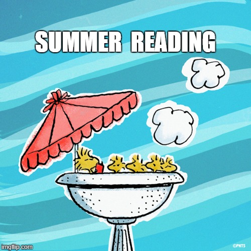 Summer Reading | SUMMER  READING | image tagged in woodstock,peanuts,birdbath,reading,charles schulz | made w/ Imgflip meme maker