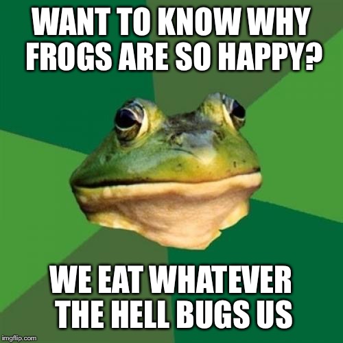 Happy, shinny frogs | WANT TO KNOW WHY FROGS ARE SO HAPPY? WE EAT WHATEVER THE HELL BUGS US | image tagged in memes,foul bachelor frog,funny | made w/ Imgflip meme maker