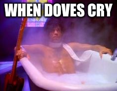 WHEN DOVES CRY | made w/ Imgflip meme maker