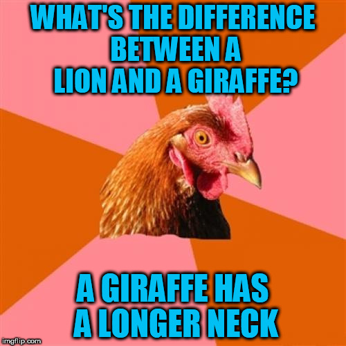 Anti Joke Chicken Meme | WHAT'S THE DIFFERENCE BETWEEN A LION AND A GIRAFFE? A GIRAFFE HAS A LONGER NECK | image tagged in memes,anti joke chicken | made w/ Imgflip meme maker